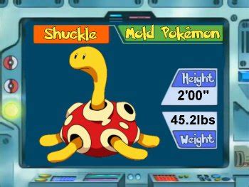 shuckle serebii|best shuckle build.